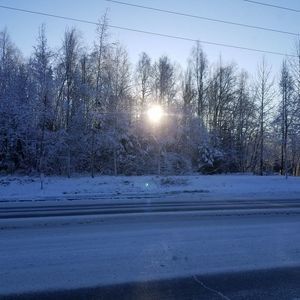 Meet your Posher, Sonya